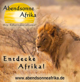 Abendsonne Afrika Deutsch