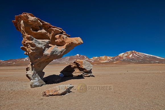 Arbol de Piedra rock