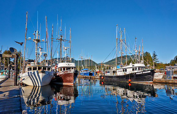 vessels in harbour of Ucluelet