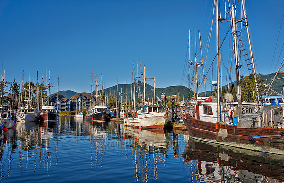 vessels in harbour of Ucluelet