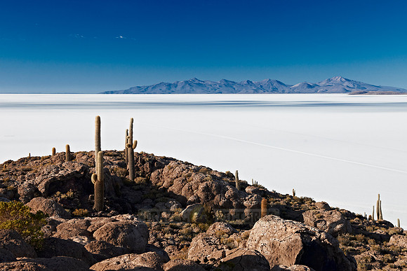Inkahuasi Island, Salar de Uyuni
