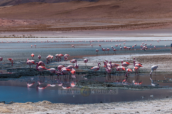 laguna hedionda