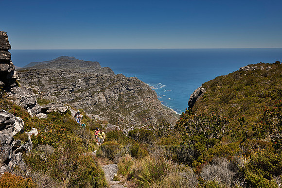 Table Mountain National Park