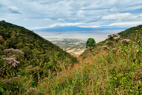 view from the rim into the Ngorongoro crater