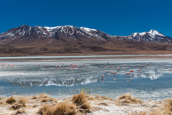 laguna hedionda