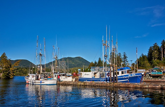 vessels in harbour of Ucluelet