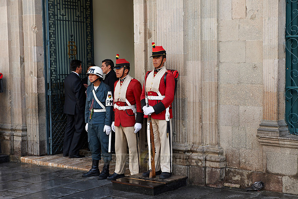 Presidential guard