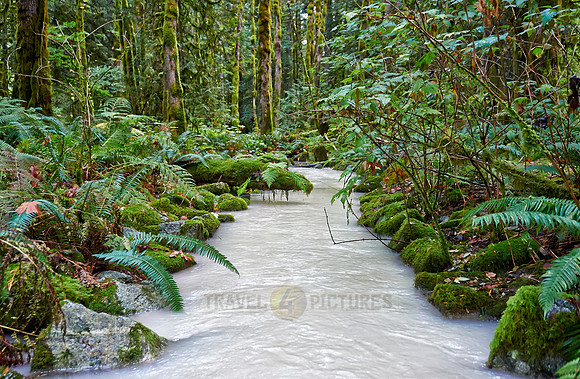 milky river in Great Bear Rainforest