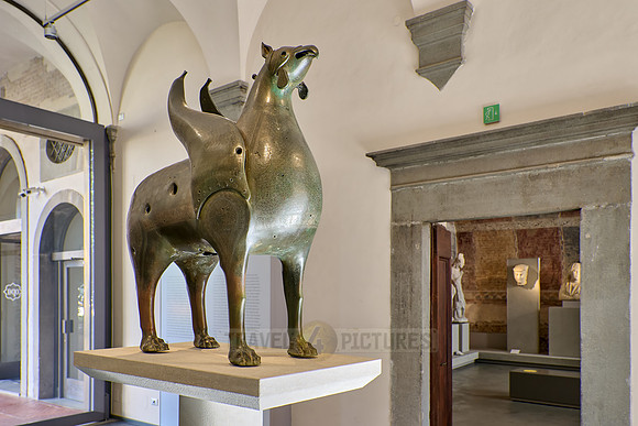 interior shot in Museo dell'Opera del Duomo, Pisa