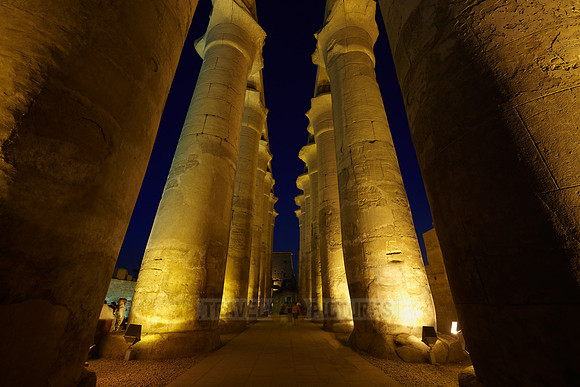 night shot of colonnade inside Temple of Luxor