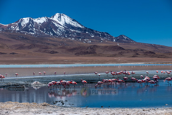 laguna hedionda
