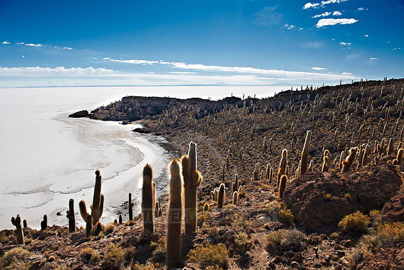 Inkahuasi Island, Salar de Uyuni