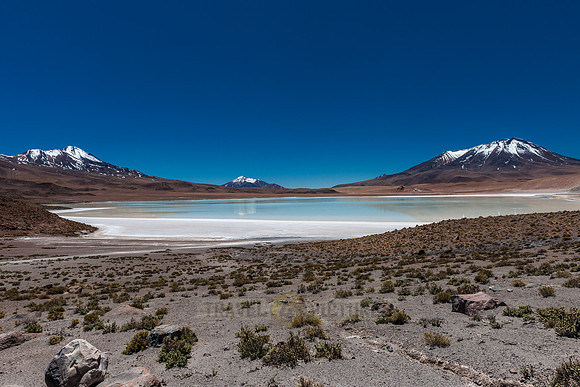 laguna hedionda
