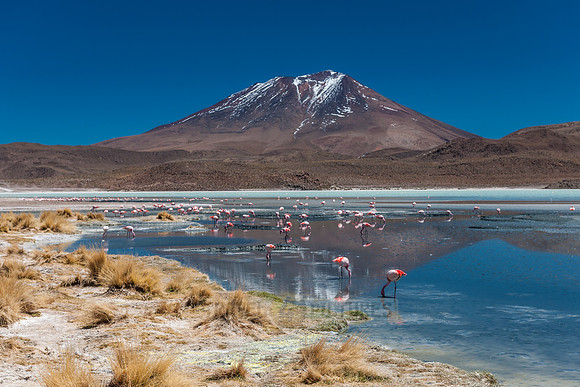 laguna hedionda