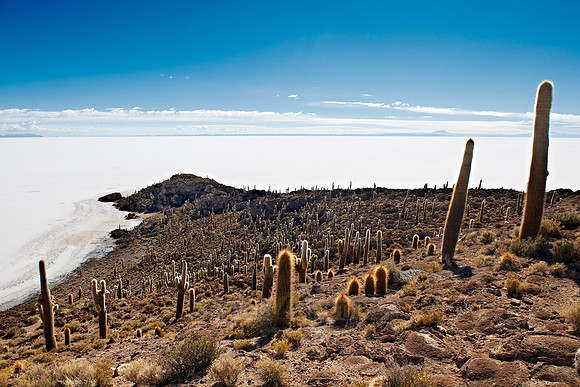 Inkahuasi Island, Salar de Uyuni