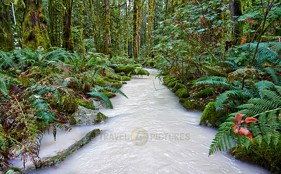 milky river in Great Bear Rainforest