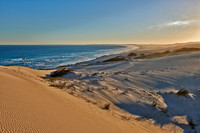 dunes and beach