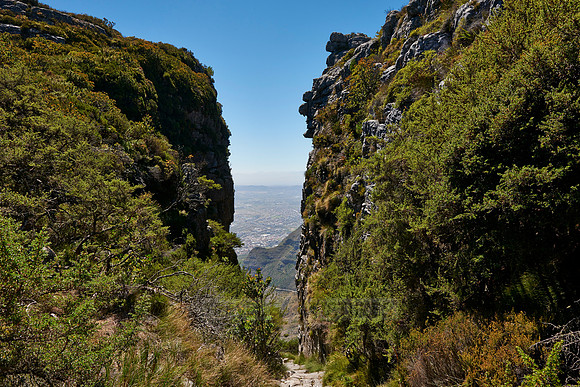 hiking trail to Table Mountain