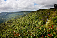 Black River Gorges National Park