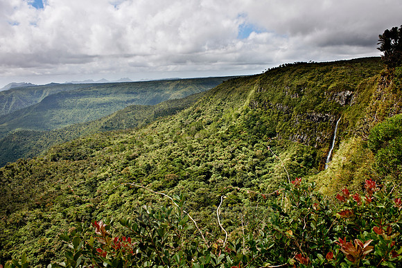Black River Gorges National Park