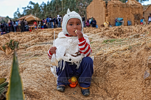 Totora