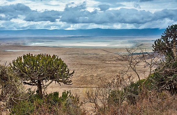 view from the rim into the Ngorongoro crater
