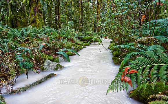 milky river in Great Bear Rainforest