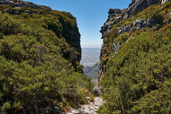 hiking trail to Table Mountain