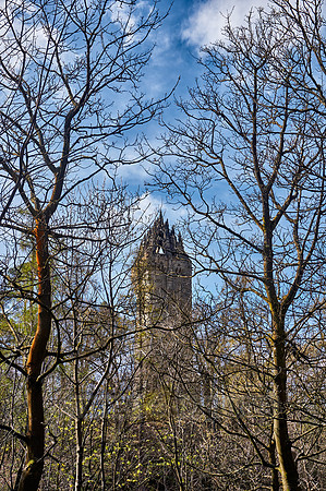 National Wallace Monument