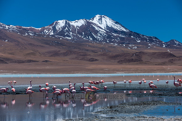 laguna hedionda