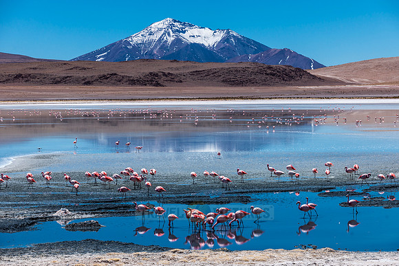 laguna hedionda