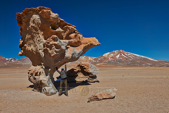 Arbol de Piedra rock