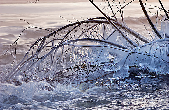 landscape shots of the Roer River in winter
