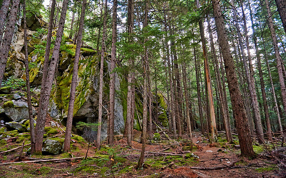 Birkenhead Lake Provincial Park