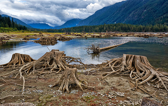 Buttle Lake