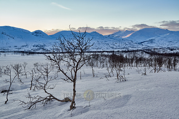 winter landscape of Anderdalen National Park