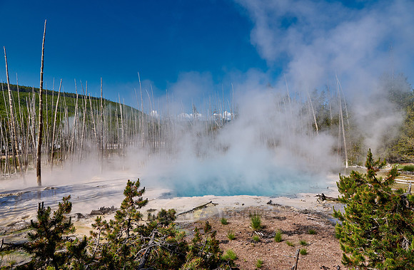 Cistern Spring, Norris Geyser Basin, Yellowstone National Park