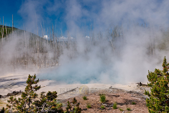 Cistern Spring, Norris Geyser Basin, Yellowstone National Park