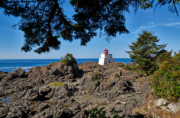 Wild Pacific Trail