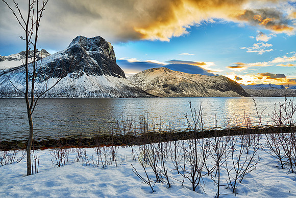 winter landscape of Bergsfjorden