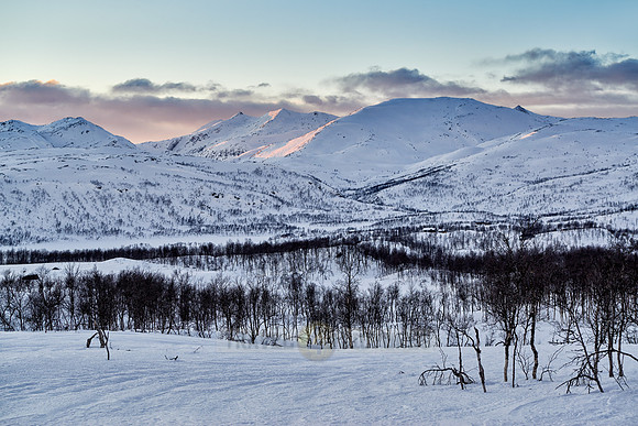 winter landscape of Anderdalen National Park
