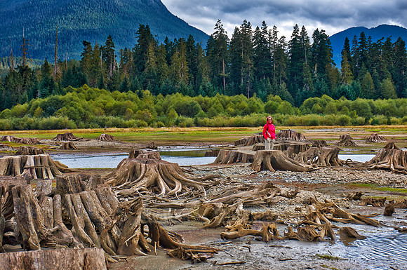 Buttle Lake