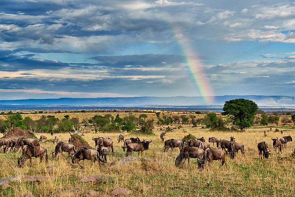 rainbow over Great Rift Valley