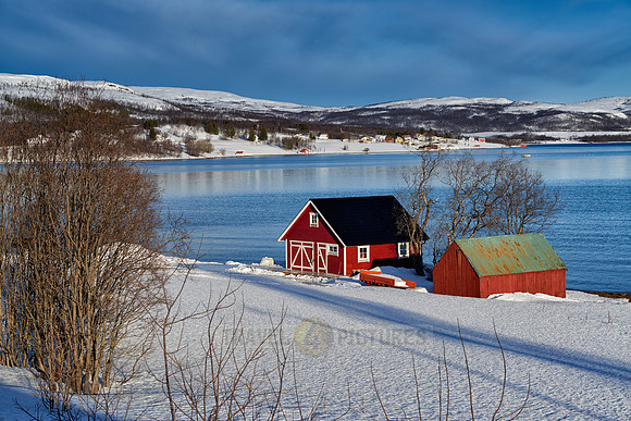 winter landscape with typical red house in Senja