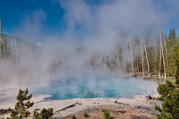 Cistern Spring, Norris Geyser Basin, Yellowstone National Park