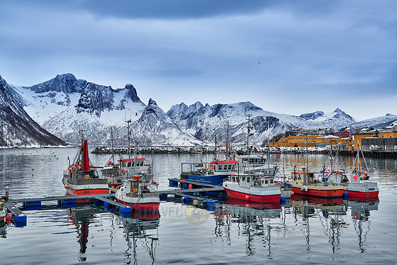 fishing vessels in harbour of Husøy