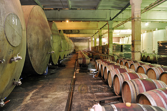 wine cellar