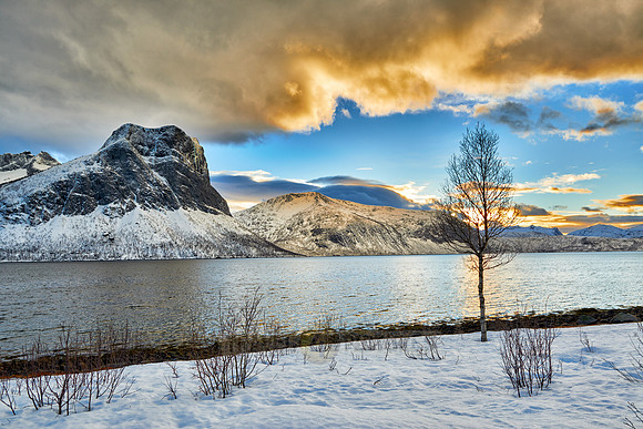 winter landscape of Bergsfjorden