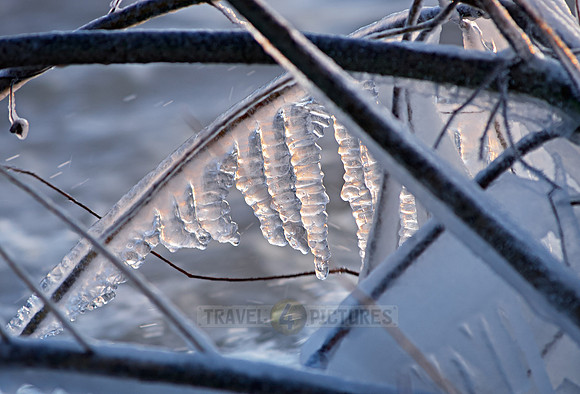 landscape shots of the Roer River in winter