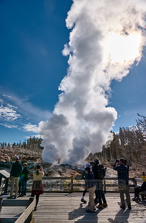 Steamboat Geyser, Norris Geyser Basin, Yellowstone National Park